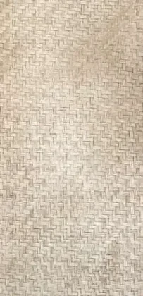 Elm Color