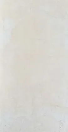 Andean White