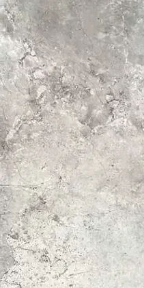 Sliver Grey