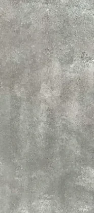 Warm Grey