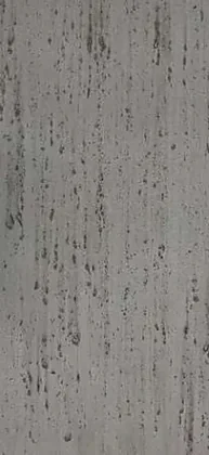 Golden Grey