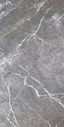 Slate Portoro